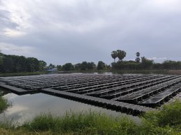 Project Owner : Thai President Foods Public Company Limited 