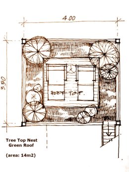 Tree Top Nest