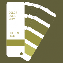 Color guide 2019