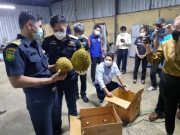 อธิบดีกรมวิชาการเกษตรติดตามกระบวนงานการส่งออกทุเรียนและผลไม้