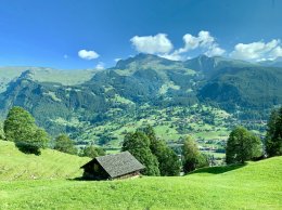 SWISS SUMMER