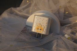 Case Adapter
