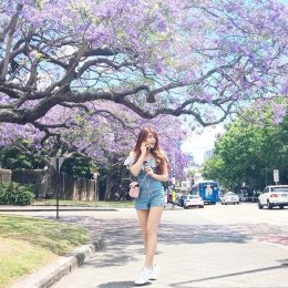 น้องโซดา