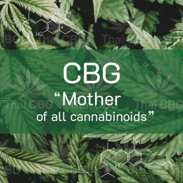 CBG 'Mother of all Cannabinoids'