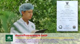 Thai CBG ผ่านการรับรองมาตรฐาน GACP กรมวิชาการเกษตร