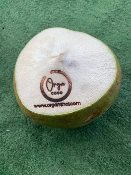 Our Brand