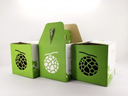 พรีวิวกล่องเมล่อนญี่ปุ่น ออกแบบพิเศษโดย Rukkla.com