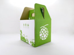 พรีวิวกล่องเมล่อนญี่ปุ่น ออกแบบพิเศษโดย Rukkla.com