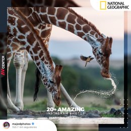 20 ภาพถ่ายสุดเจ๋งจาก Instagram ที่ได้รับการคัดเลือกจาก National Geographic