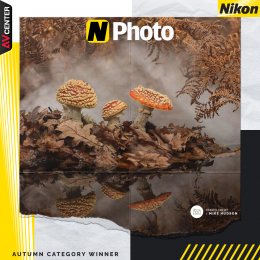  รวมภาพถ่ายที่ชนะเลิศในงาน N-Photo ของ Nikon