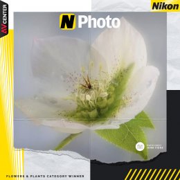  รวมภาพถ่ายที่ชนะเลิศในงาน N-Photo ของ Nikon