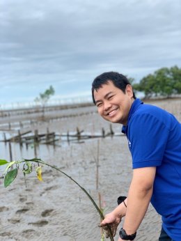 CSR ปลูกป่า