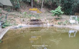 วิสาหกิจชุมชนโกโก้, ระนอง