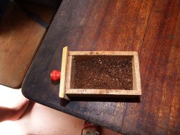 ก้องวัลเล่ย์ Robusta Coffee Ranong