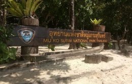 ทัวร์ระนอง - ดำน้ำดูปะการังหมู่เกาะสุรินทร์