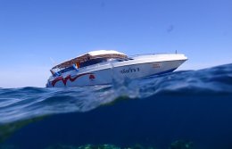 ดำน้ำหมู่เกาะสุรินทร์ Day Trip Surin island