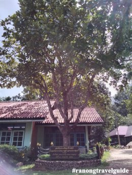 น้ำตกหงาว