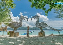 ดำน้ำเกาะกาฮังบีช (เกาะเฮ) Full Day