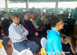 ป่าชายเลนกลางเมือง โกงกางดึกดำบรรพ์ 200 ปี