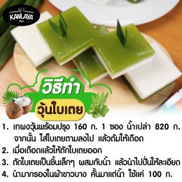 วุ้นถาดใบเตย