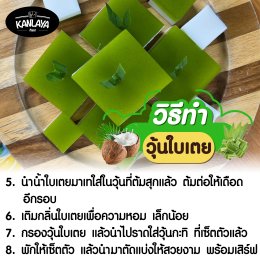 วุ้นถาดใบเตย