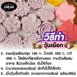วุ้นเผือก