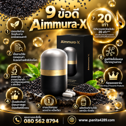Aimmura-X