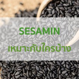 SESAMIN