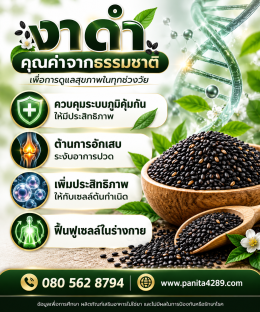 งาดำ_ประโยชน์