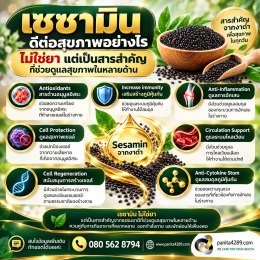 เซซามิน 
