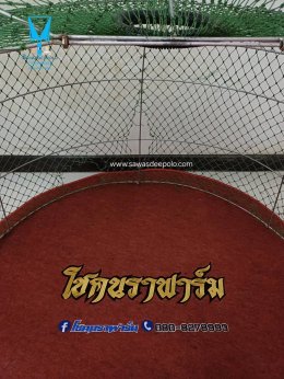 ขอบพระคุณ โชคนราฟาร์ม  พรมรองสุ่มไก่ เย็บขอบ หนา 3-4 มิล  มุ้งไก่ชน ตัดเย็บด้วยผ้าสีเดียวทั้งหลัง เย็บผ้าทับหูแขวนไม่หลุดง่ายl เย็บเก็บชายมุ้ง  มีบริการปักชื่อ และโลโก้  สนใจสอบถามเพิ่มเติม  https://line.me/ti/p/VJeTnWFnQS  www.sawasdeepolo.com ️ 08422540