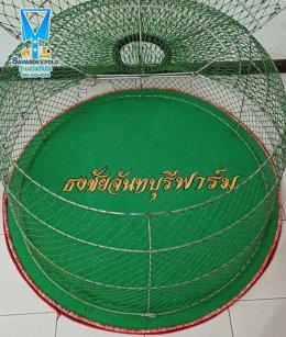 ขอบพระคุณ ธงชัยจันทบุรีฟาร์ม  พรมไก่ชน  มุ้งไก่ชน  มีบริการปักชื่อ และโลโก้  สนใจสอบถามเพิ่มเติม  https://line.me/ti/p/VJeTnWFnQS  www.sawasdeepolo.com ️ 0842254054 #sawasdeepolo #สวัสดีโปโล #มุ้งไก่ปักชื่อ #พรมไก่ปักชื่อ #เสื้อปักไก่ชน