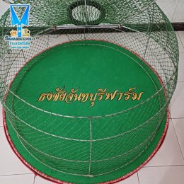 ขอบพระคุณ ธงชัยจันทบุรีฟาร์ม  พรมไก่ชน  มุ้งไก่ชน  มีบริการปักชื่อ และโลโก้  สนใจสอบถามเพิ่มเติม  https://line.me/ti/p/VJeTnWFnQS  www.sawasdeepolo.com ️ 0842254054 #sawasdeepolo #สวัสดีโปโล #มุ้งไก่ปักชื่อ #พรมไก่ปักชื่อ #เสื้อปักไก่ชน