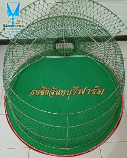 ขอบพระคุณ ธงชัยจันทบุรีฟาร์ม  พรมไก่ชน  มุ้งไก่ชน  มีบริการปักชื่อ และโลโก้  สนใจสอบถามเพิ่มเติม  https://line.me/ti/p/VJeTnWFnQS  www.sawasdeepolo.com ️ 0842254054 #sawasdeepolo #สวัสดีโปโล #มุ้งไก่ปักชื่อ #พรมไก่ปักชื่อ #เสื้อปักไก่ชน