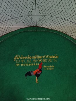 ขอบพระคุณซุ้มก่อยง่อนพัฒนา 99 ฟาร์ม ️ พรมไก่พร้อมปักโลโก้และชื่อ #พรมกลมหนา3มิล   สนใจ เพียงส่งรูปหรือวาดรูปแบบที่ต้องการ ให้ทางร้านออกแบบให้ได้นะคะ️ สนใจสอบถามเพิ่มเติม  http://line.me/ti/p/~sawasdeepolo  www.sawasdeepolo.com ️ 0842254054 #sawasdeepolo #