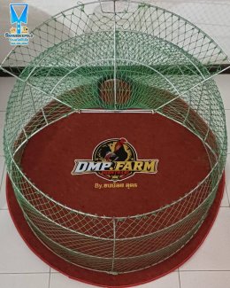 ขอบพระคุณ DMP.FARM By ขนน้อย อุดร  มุ้งไก่ชน  พรมไก่ชน  มีบริการปักชื่อ และโลโก้  สนใจสอบถามเพิ่มเติม  https://line.me/ti/p/VJeTnWFnQS  www.sawasdeepolo.com ️ 0842254054 #sawasdeepolo #สวัสดีโปโล #พรมไก่ #พรมไก่พร้อมปัก #พรมรองสุ่ม #พรมรองสุ่มไก่ #พรมกลมร