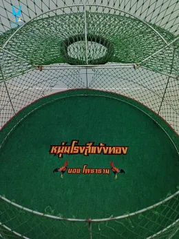 ️ พรมไก่พร้อมปักโลโก้และชื่อ พรมกลมกว้าง 120 ซม. ความหนา 3 มิล สนใจสอบถามเพิ่มเติม  https://line.me/ti/p/VJeTnWFnQS  www.sawasdeepolo.com ️ 0842254054 #sawasdeepolo #สวัสดีโปโล #พรมไก่ #พรมไก่ปักชื่อ #พรมไก่พร้อมปัก