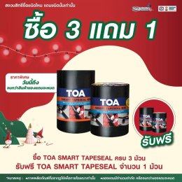 แจกกระหน่ำส่งท้ายปี กับสีทีโอเอ ที่นพดลพานิชเท่านั้น