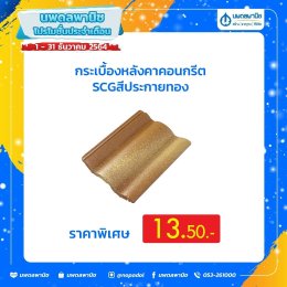 Special Winter Sale โปรโมชั่นประจำเดือน ธันวาคม 2564 