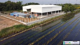  Build a factory, build a white warehouse, Lam Luk Ka, Rangsit, Pathum Thani, Khlong.