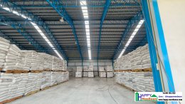 Factory & Warehouse Expansion Guide: How to Safely and Cost-Effectively Extend Large Warehouse Structures