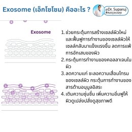 Exosome (เอ็กโซโซม) คืออะไร? & ช่วยเรื่องปัญหาผิวหนังได้อย่างไรบ้าง?