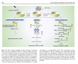 แนะนำเทคนิคดูแลแผลเป็น: Exosome ในการดูแลแผลและแผลเป็น Exosome Therapy in Wound and Scar Management