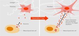 Exosome (เอ็กโซโซม) นวัตกรรมดูแลปัญหาผิว ฝ้า ผมร่วงผมบาง คืออะไรช่วยอะไรได้บ้าง ? (Update from IMCAS)