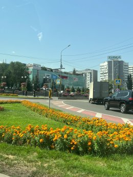 Expert Case Day: Conference in Almaty, Kazakhstan 2025