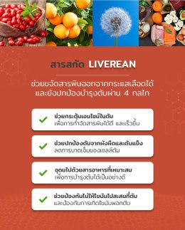 สารสกัด Liverean