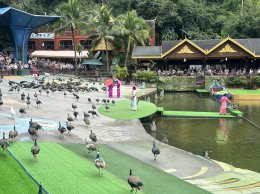เที่ยวสิบสองปันนา 2569 | ทัวร์จีนยูนนาน ราคาคุ้ม โดยอุ้มรักทัวร์