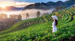 เที่ยวเวียดนามใต้ โฮจิมินห์ มุยเน่ ดาลัด | อุ้มรักทัวร์
