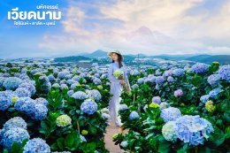 เที่ยวเวียดนามใต้ โฮจิมินห์ มุยเน่ ดาลัด | อุ้มรักทัวร์