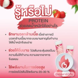 โปรตีนช่วยลดน้ำหนักอย่างไร รีวิวโปรตีนเจลลี่อั้มพัชราภา